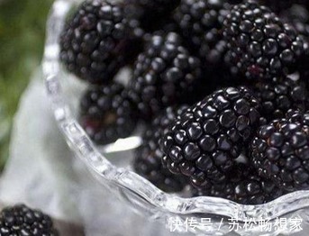 抽烟喝酒|男人过50，建议常吃下面这些美食，比抽烟喝酒强，关键还不贵