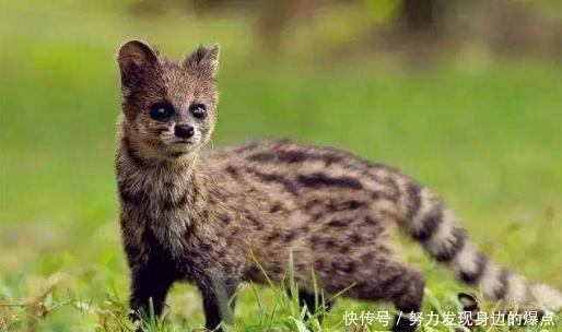 浙江卫视一档真人秀节目,首站定为浙江金华,本周日就出发