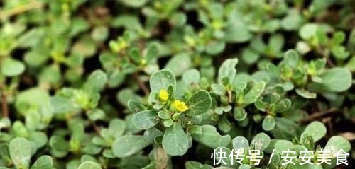 血栓|高血脂碰上“天敌”了！每天吃一点，清理血管，血栓不来扰