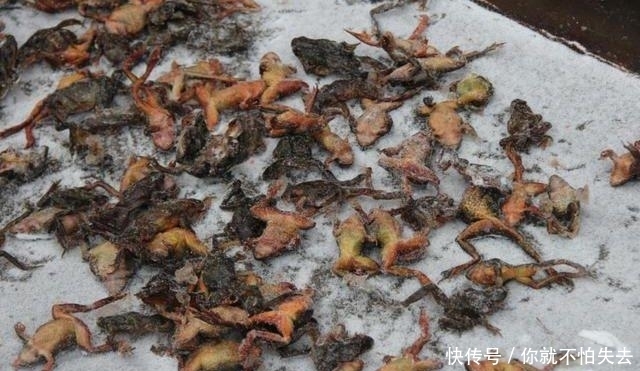 东北菜市场|大雪后东北农村菜市场,小贩冒雪去叫卖,猪血论盆卖