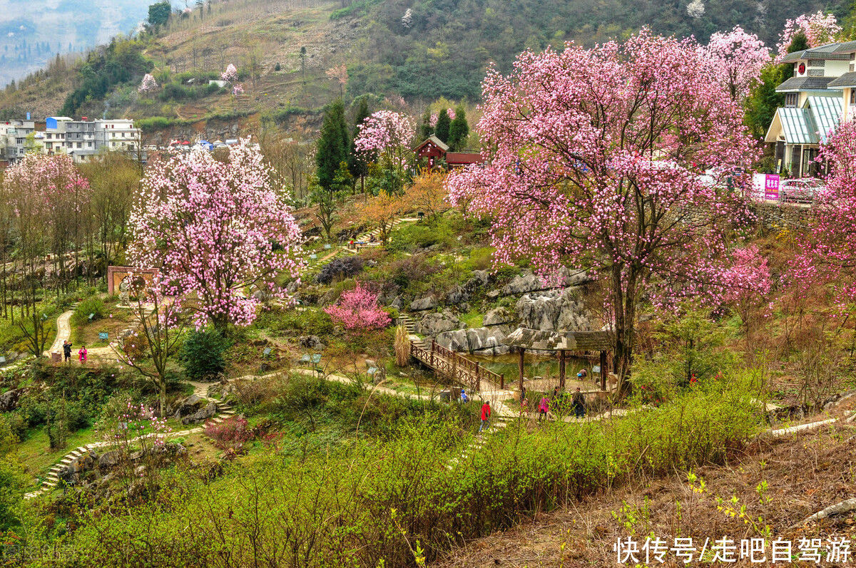 春季最美的5个小众旅行地，错过要再等一年，你去过几个？