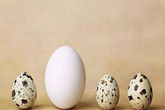 14个生活小妙招,可以帮到我们,家家都需要