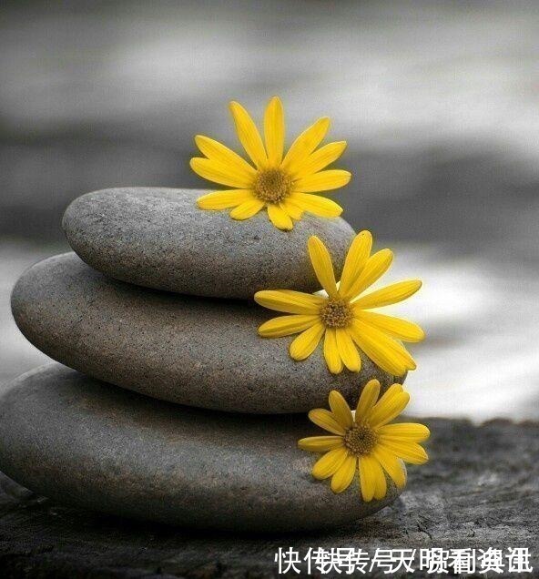 雅量#佛家一句话,胜读十年书!多读开悟才是正道