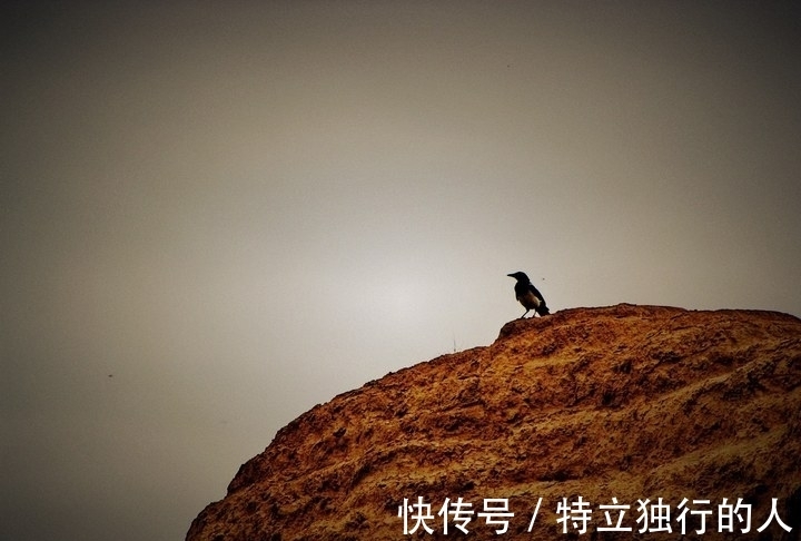 亚亚|生活处处有好诗,山西大妈原创诗词集,锤炼平凡之美,每首都惊艳