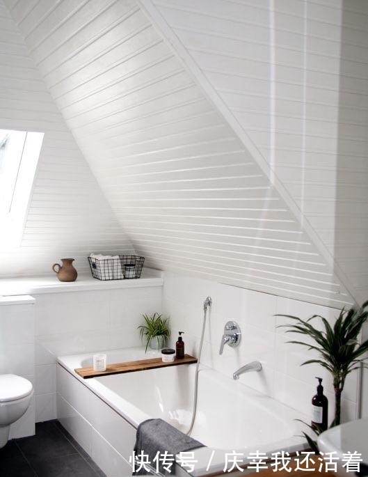 媳妇儿,你把卫生间都种成了花园,人家都不好意思在里面蹲坑了!