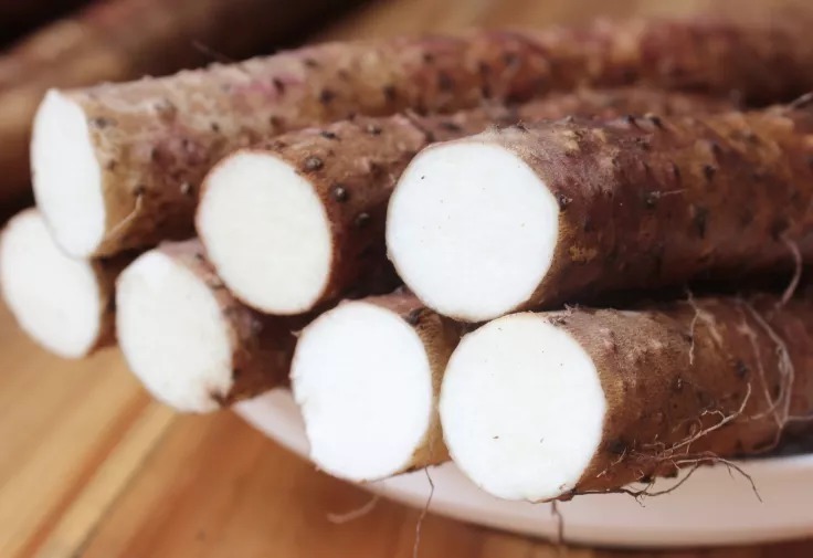 补肾|人老肾气亏!这5种素食是最强补肾药,没有副作用!不信你就来试试