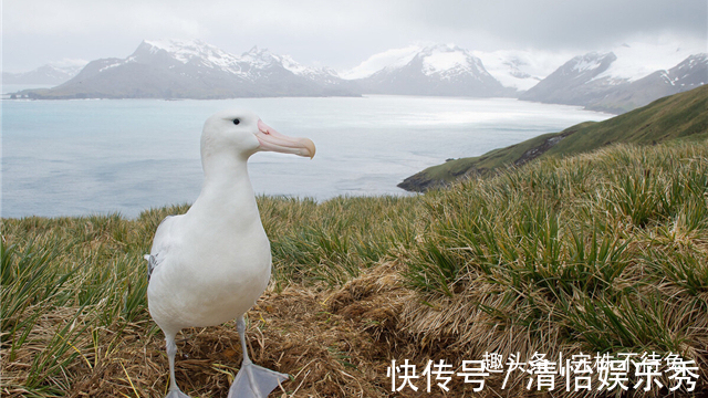 23个冷知识:虽然无处使用,但却十分有趣的奇怪知识