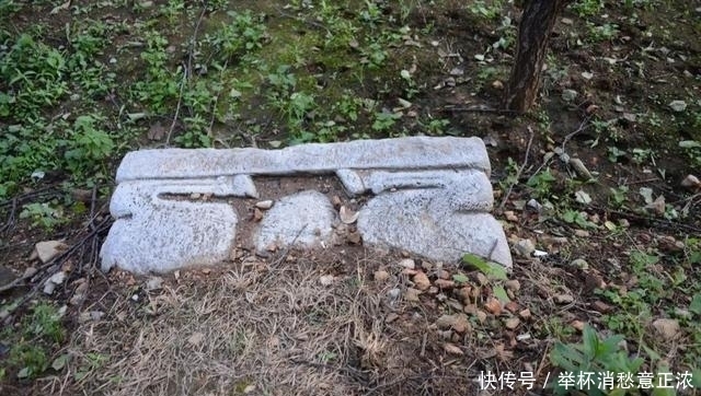 书魂·张柔:轻财重书,《金史》得用(上)韦力撰