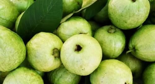 番石榴|夏季40天三伏女性想要去湿气，多吃3种食物，降压减脂，延缓衰老