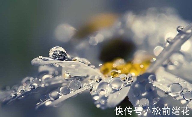 生肖|9月11日之后，四生肖财运大涨，雨过天晴，事业有成，运气满满