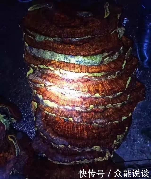 重金买下烂疙瘩，众人觉得不值，一刀下去，众人惊呆了！