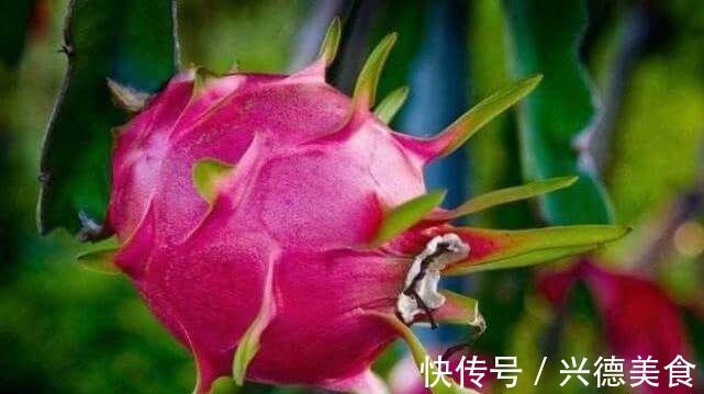 营养物质|40岁女性不妨多吃3种食物,补充营养、延缓衰老,早吃早健康!