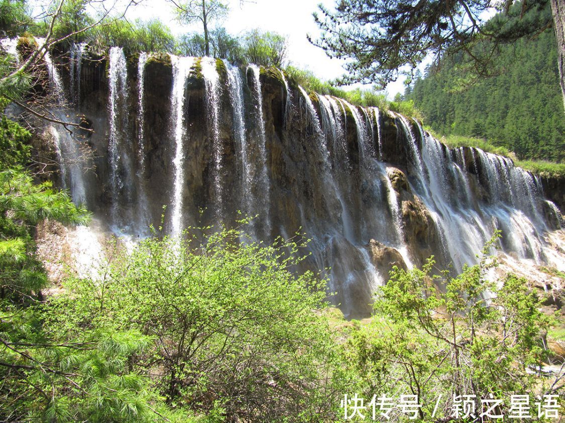 瀑布|游历九寨沟，乘观光车至箭竹海，沿步道赏遍九寨精华