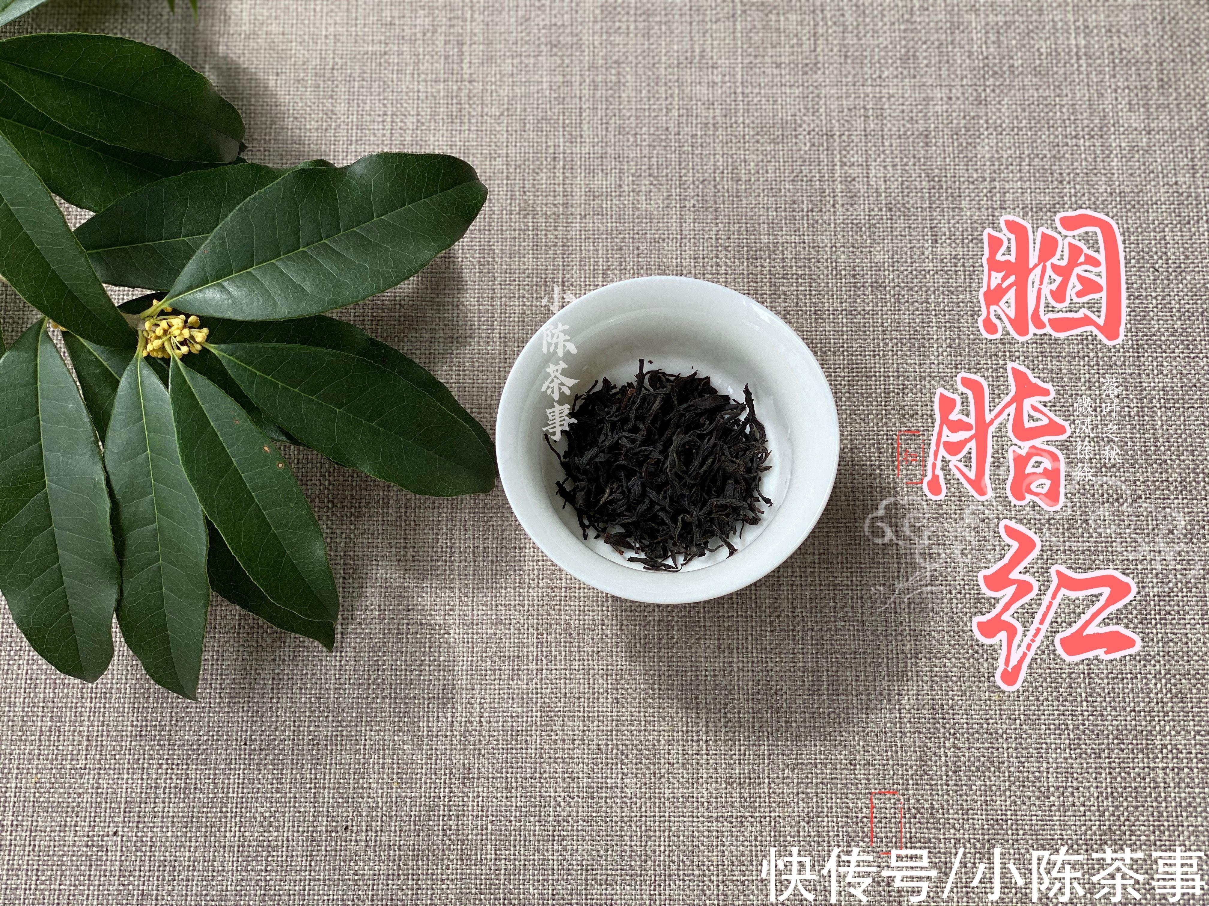 小种红茶、工夫红茶、红碎茶,谁才是煮红茶首选?谁不适合煮茶?