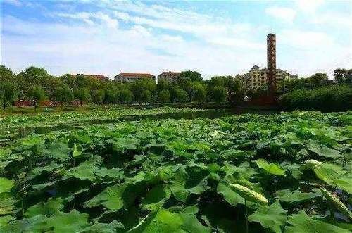 湖北改名最“成功”的1所大学，校址明明在孝感，总被以为在武汉