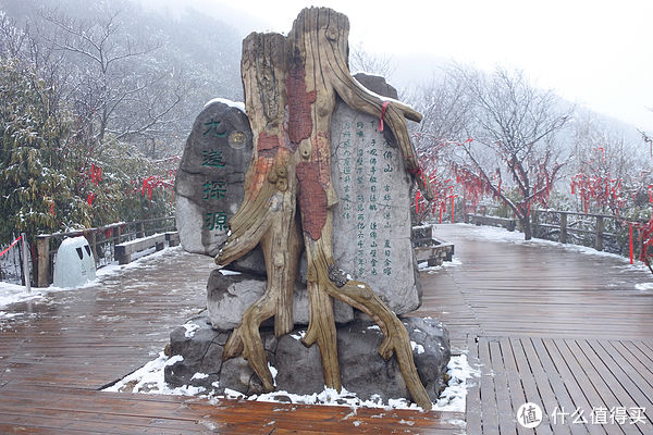 金佛山|夏日忆雪---重庆南川金佛山赏雪记