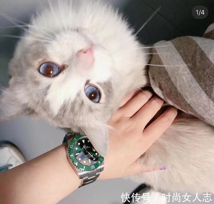 瑞士钟表工业联合会|中国大妈的“操作”用上百只劳力士、卡地亚将奢侈品店家老板看蒙呆了