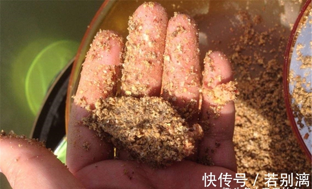 冬季不管天气有多冷，只需用这钓法，大板鲫连竿上，天天钓都不腻