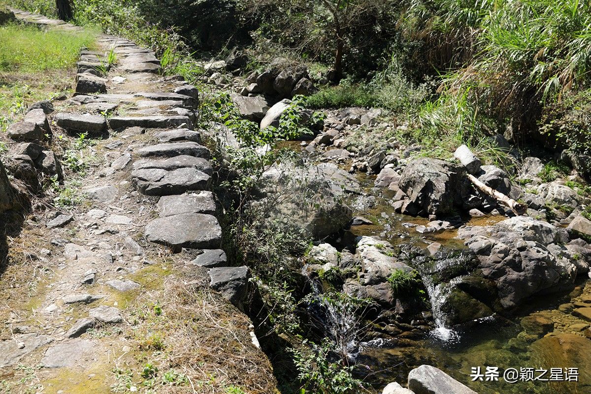 王师傅|隐居深山的神仙生活，每年自酿三季野果酒，秋天采摘野生猕猴桃