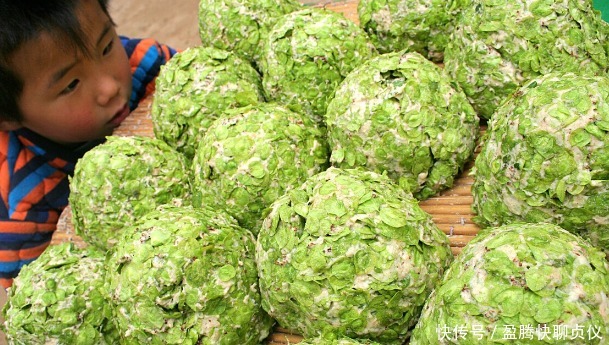 春天里最好吃的9种野菜,再不吃,过了这个月,就要等一年才能有