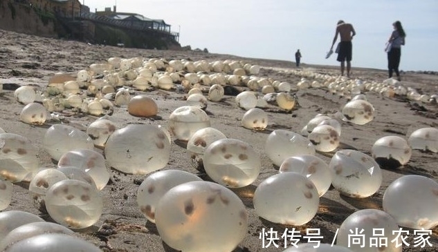 红宝石 有人在海边捡到钻石,更有人在海边捡到红宝石戒指