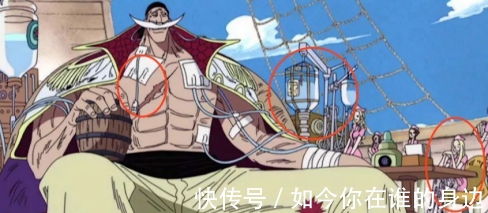 果实|海贼王号称最强男人的果实,本身就巨大缺陷,白胡子忍了50年