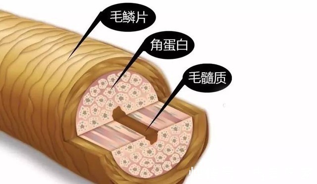 三大层 别人烫发是女神，我烫完是步惊云，烫发是如何改变头发形状的！