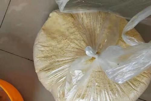 老大爷口出狂言:钓草鱼根本用不着商品饵,试过才知没骗人