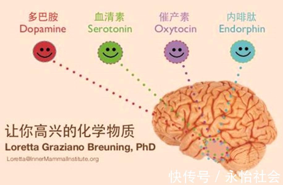 体育课|李玫瑾：孩子放学回家写作业前，先让他去做一件事，学习效率更高