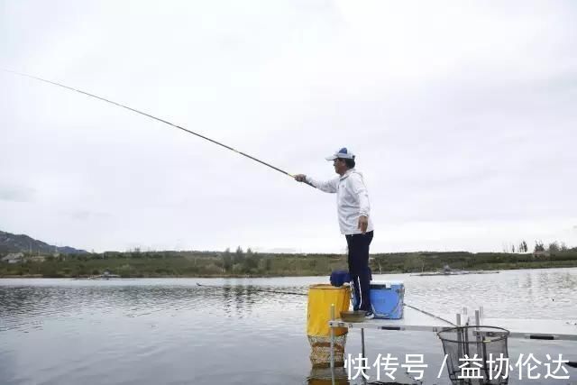 化氏垂钓口诀，化老师总结的实用鱼钓锦囊