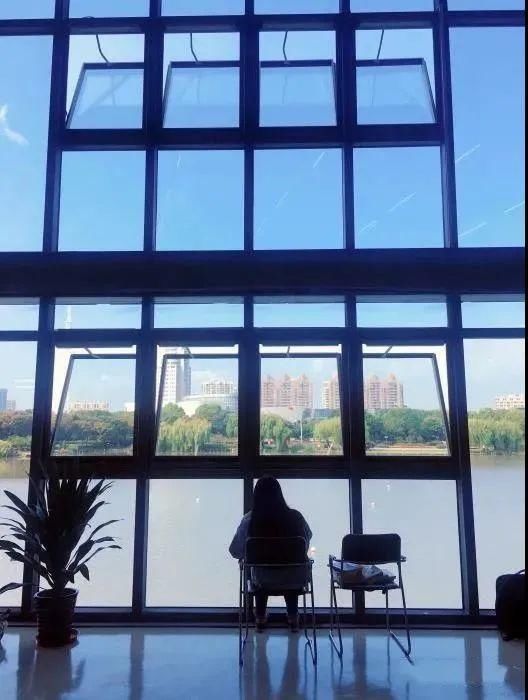  艺术|是自然的声籁，也是艺术的回响，它们在青浦悄悄发着光！