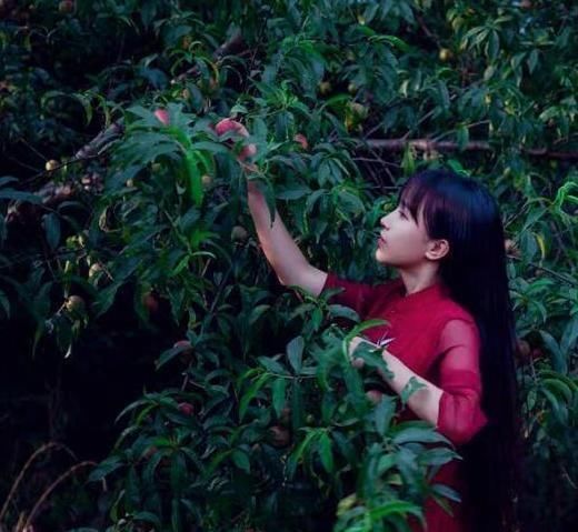  小房|走进李子柒的农家小房，卧室衣架都是树枝做的，生活也太原始了