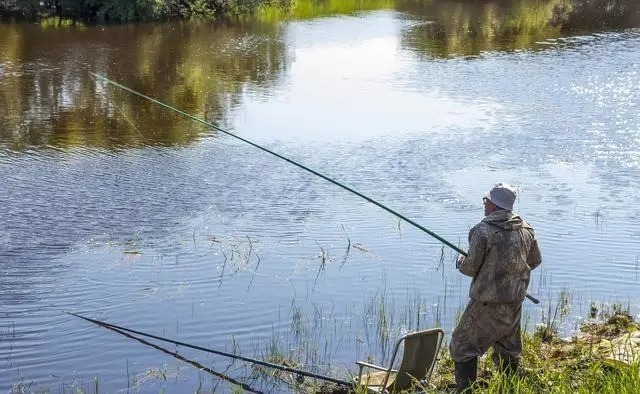 寒露前后钓鱼,唯独这套野钓法最管用
