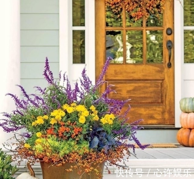 任何容器都能用来做花盆,请收好这30种美丽的花盆搭配设计