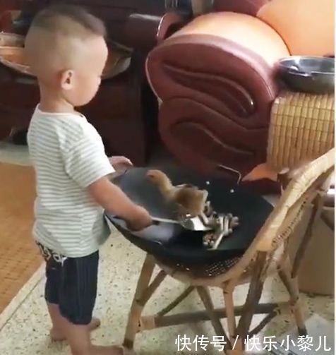 爷爷奶奶|2岁儿子偷偷学做菜,为妈妈“炒鸡”吃,妈妈看到后顿时笑喷