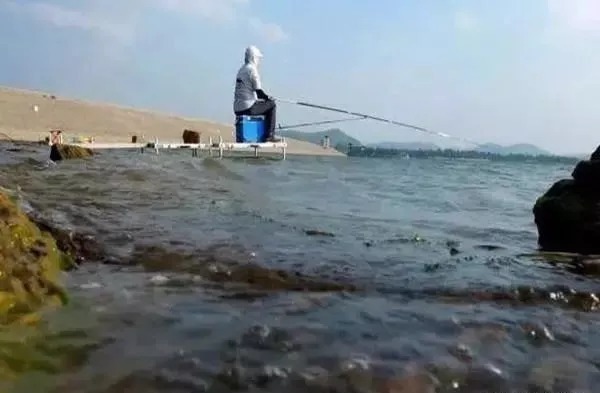 天冷去哪能钓到鱼?只要学会这1招,再冷的天你也能钓到鱼!