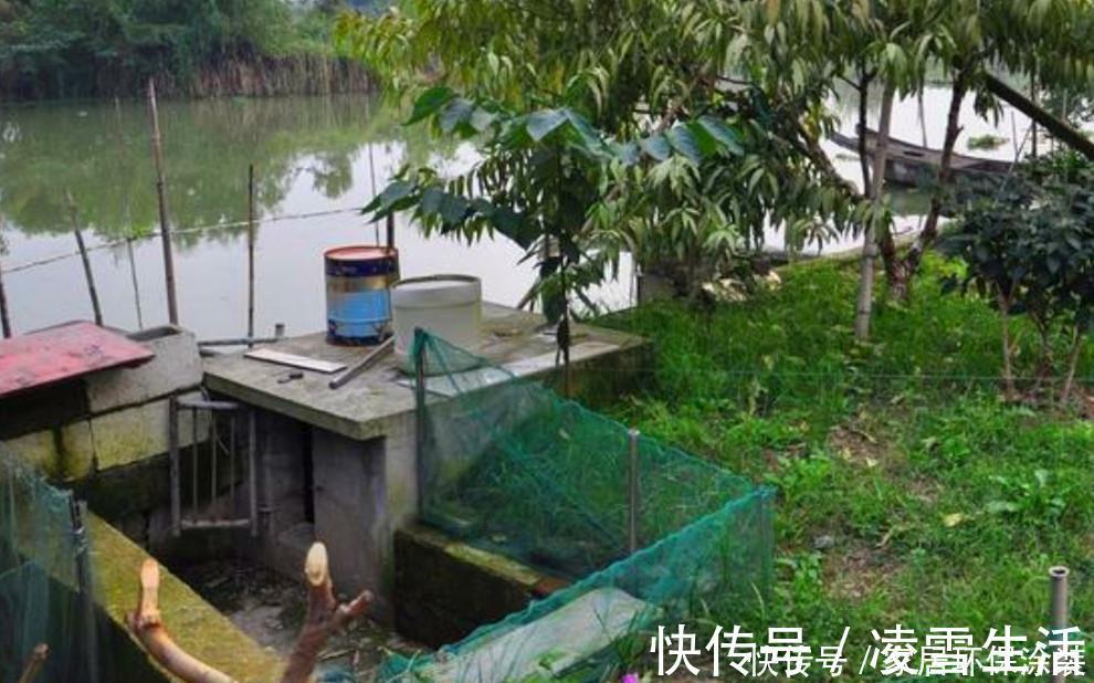 农村|闺蜜婆家的农村自建房，吹牛说花了500万，大家看值不值？