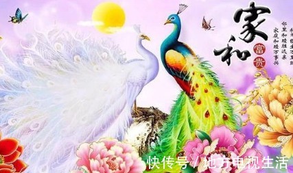 幸运儿|未来60天，3生肖成为幸运儿，贵人相助发大财，日子越过越红火