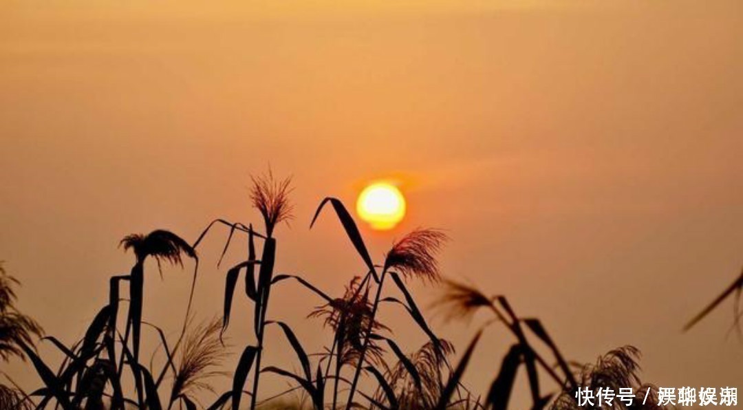 徐君宝妻$为保清白之身,才女在墙上写下这首词后投水而亡,流传700多年