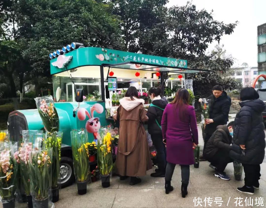 仙境花车惊艳亮相温江，花仙境努力践行公园城市的发展新理念