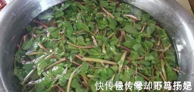 木薯|有孕期,这4种食物孕妇别吃,不然对孩子发育不利,对自己也无益!