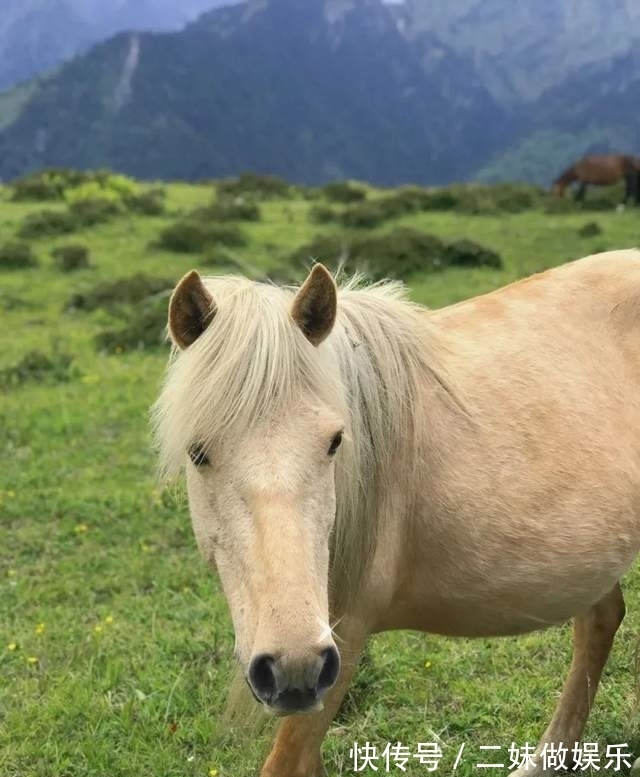 甘海子|「云中牧场」行走高山草甸 坐看浮云翻腾