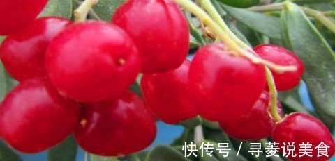 准妈妈|女性要对自己好一点,常吃4种食物,排除肝火,减少色斑