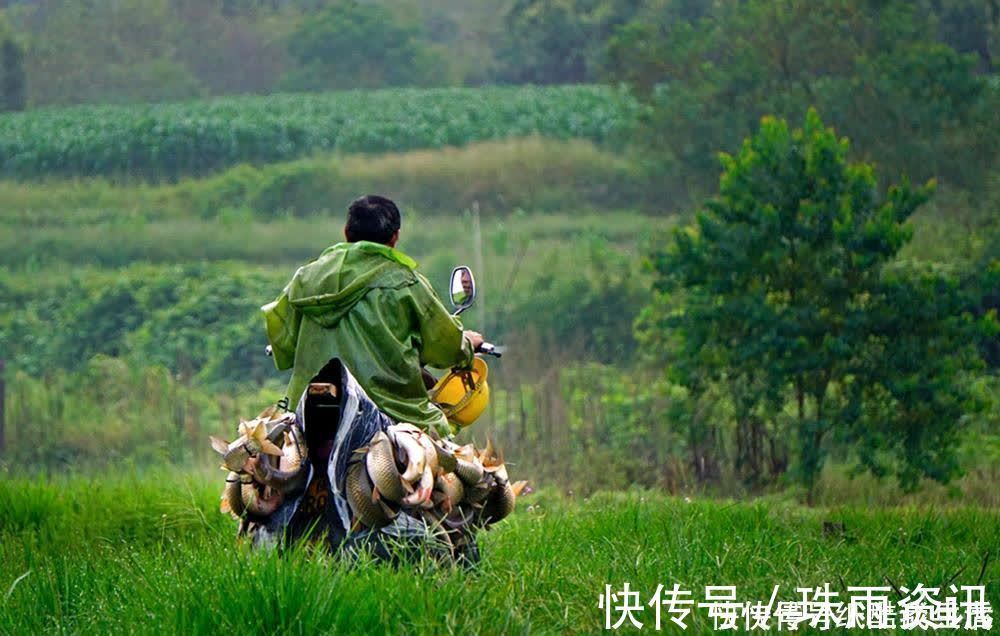 高手在民间,闽北神奇弓鱼术,能让鱼离水几天不死,是真的吗?