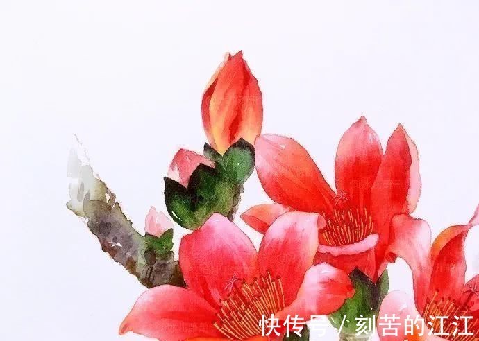 花瓣@水彩这样画，也太美了吧！居然把花瓣画出透明的感觉，看完忍不住保存！