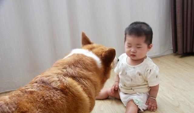 智力|宝宝的这些表现可能和智力有关,家长要注意