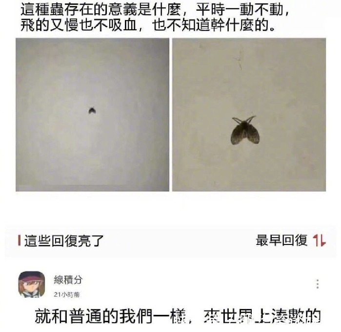 燕小六|“你以为的女主播，和女神的真正面目”哈哈哈哈哈孩子可能都三岁了！！