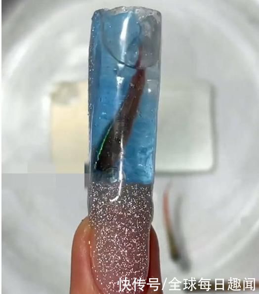 小鱼|女子发明“活鱼”美甲，遭到一众网友猛烈抨击，你能接受吗?