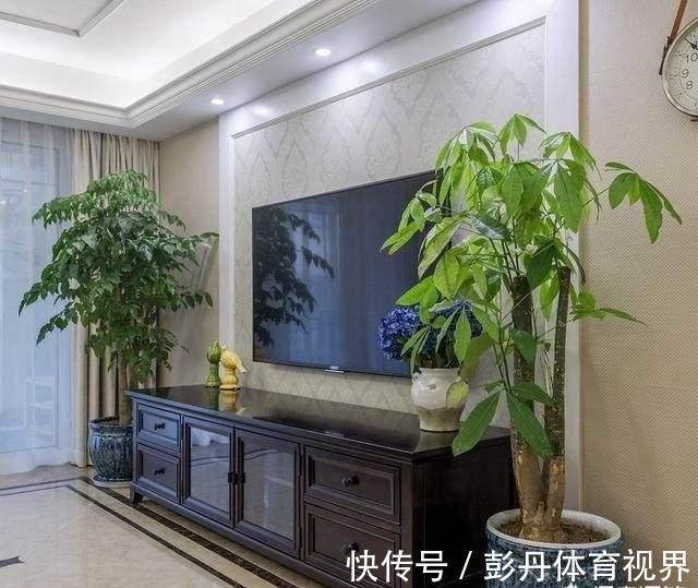 室内养花“别乱放”,5个地方不适合,养一盆枯一盆