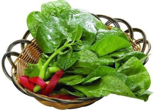 营养成分|女性担心老太快,可以多吃三种食物,美容养生,有益健康!